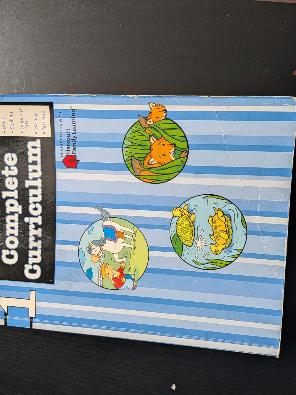 Blue Striped Educational Workbook Cover